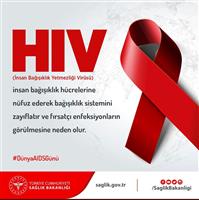1 Aralık Dünya AIDS Gunu1.jpeg